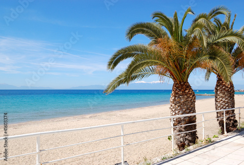 The beach with palm trees and mountain Olympus on background  Ha