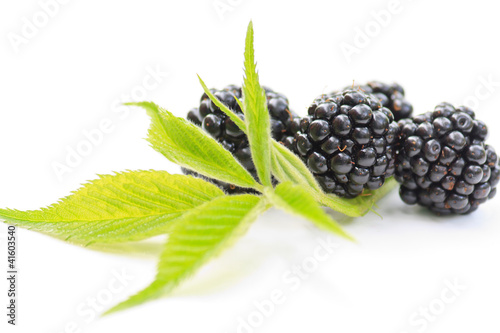 dewberries (blackberries) and green leaves