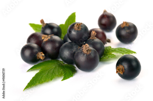 black currants with leaves