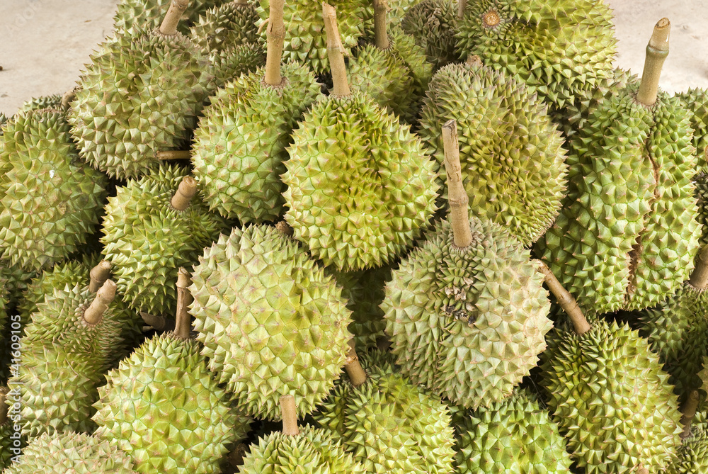 Durian,delicious tropical fruit in fruit stall, Thailand Durian,delicious tropical fruit in fruit stall, Thailand