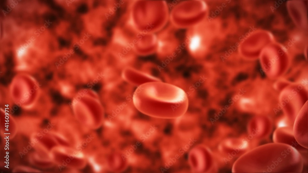 streaming blood cells in vein streaming blood cells in vein