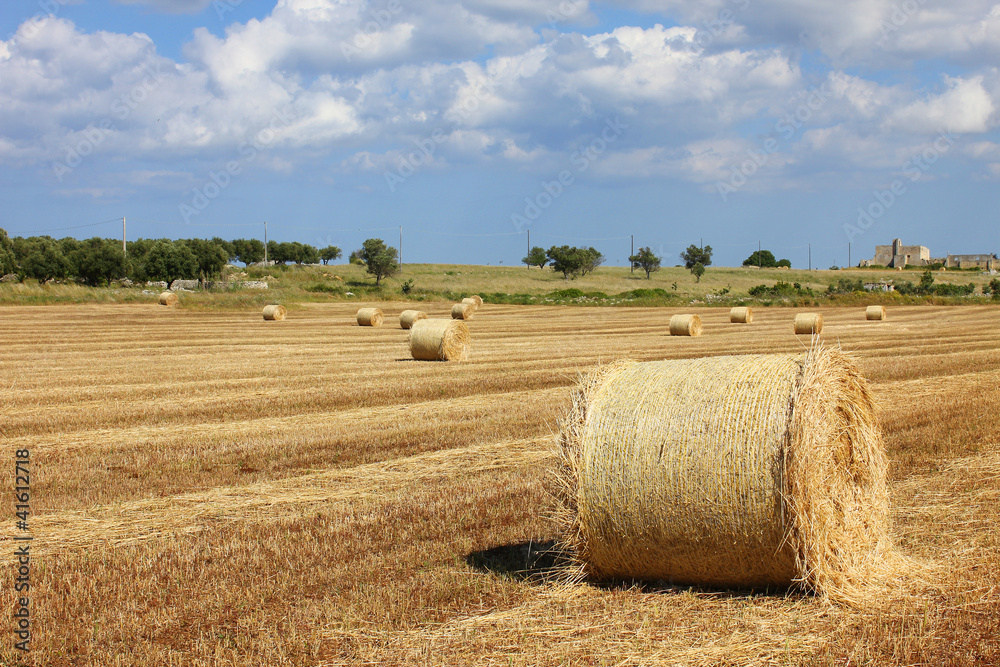 Fototapeta premium Field of bales 2