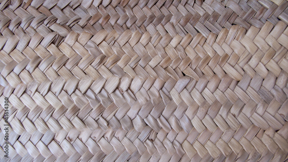 Fondo textura vegetal Fondo textura vegetal