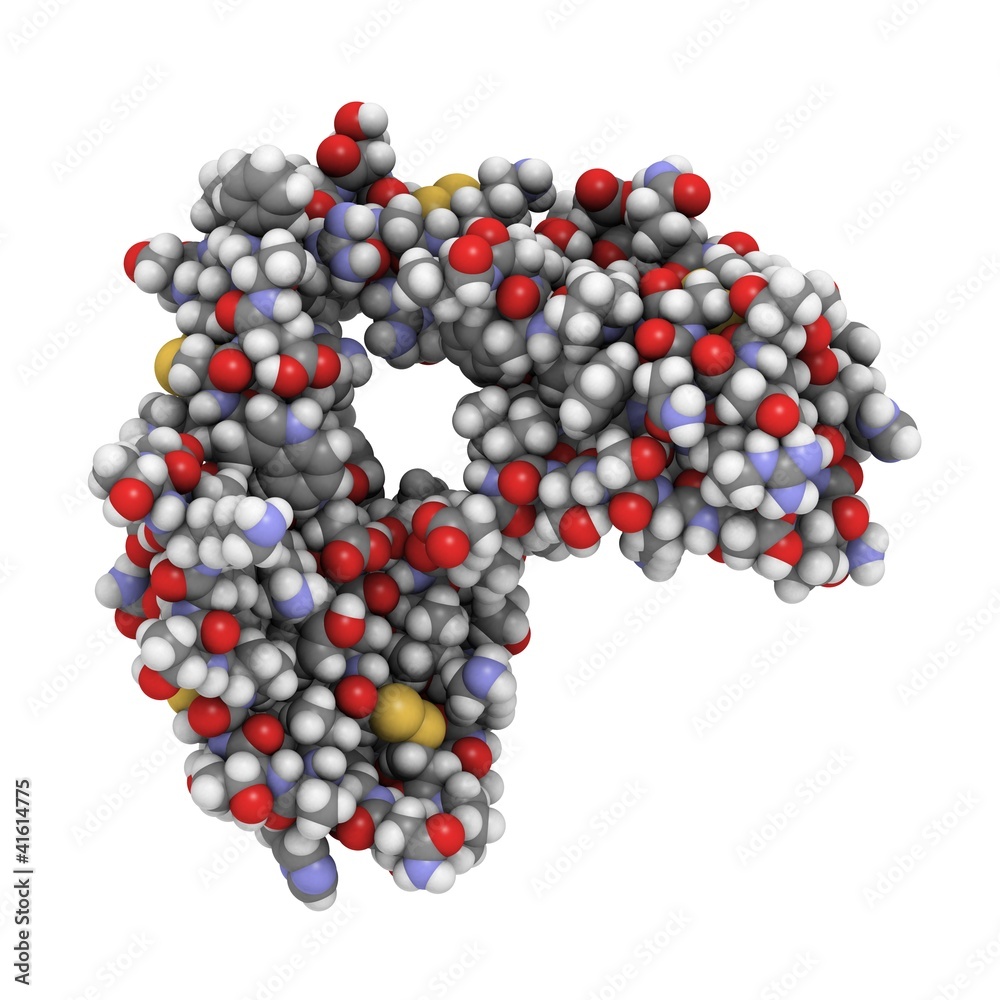 alpha-cobratoxin molecule of Naja kaouthia cobra. alpha-cobratoxin molecule of Naja kaouthia cobra.