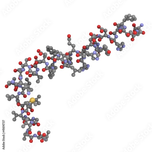Alzheimer's disease amyloid beta peptide (1-42)