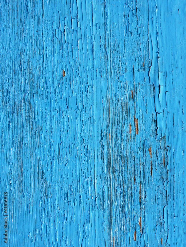 Obraz premium Closing on blue wooden panels of the fence