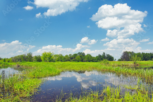 Meadow with the swamp near Narew river, Poland
