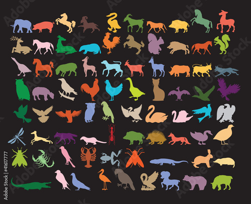 Big variety of animals.