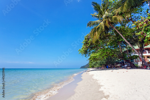 Exotic tropical beach.