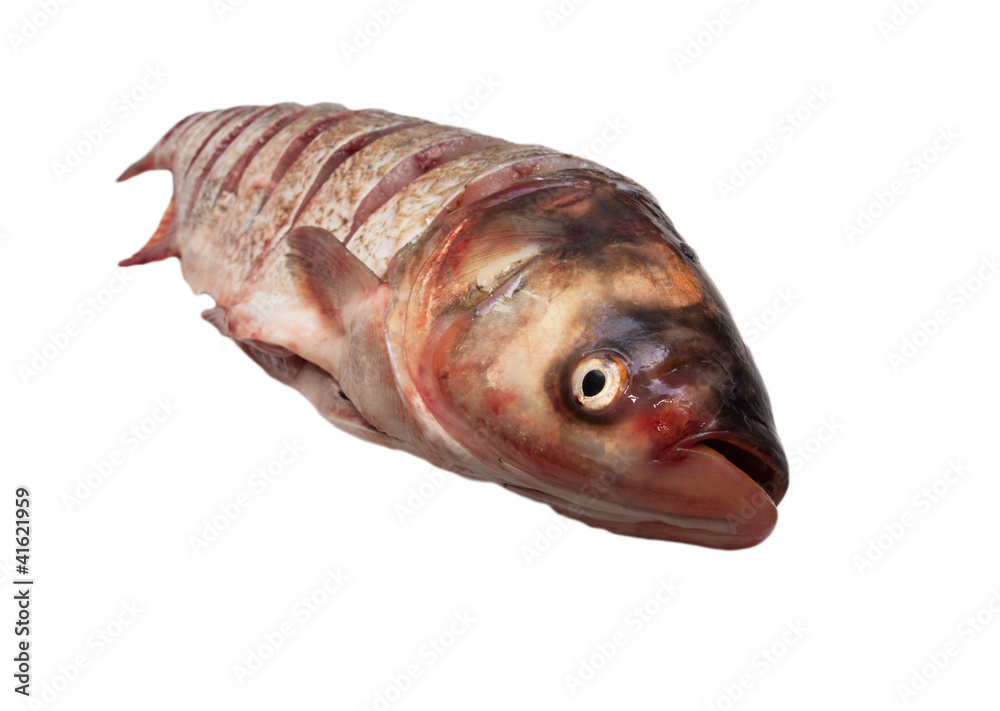 carp of cuts on a white background