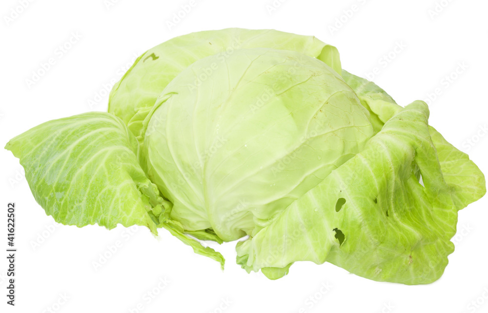 Fototapeta premium Cabbage isolated on a white background