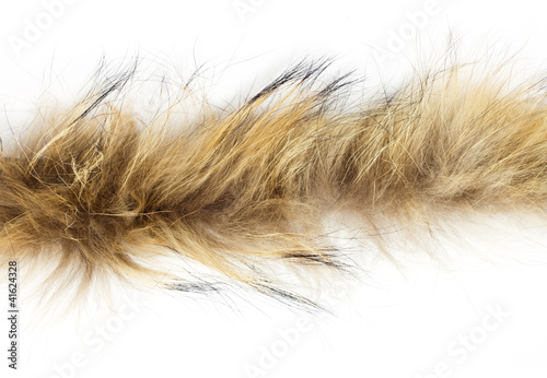 fur on white background