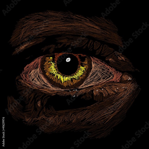 oeil