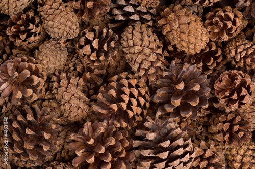 full frame photo of cones