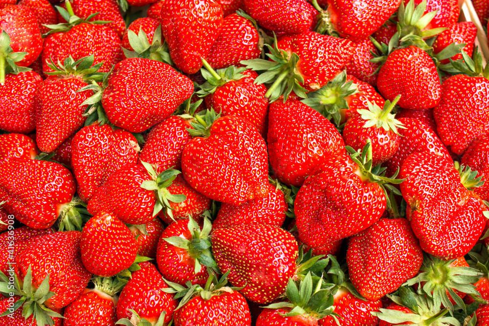 Fresh organic strawberries Fresh organic strawberries