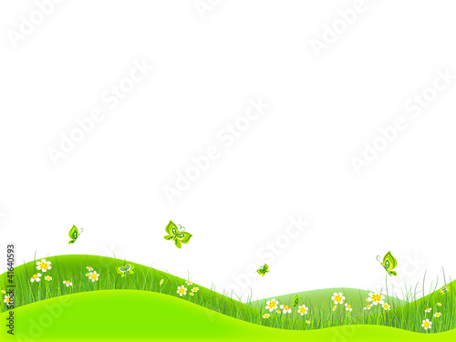 Green floral background