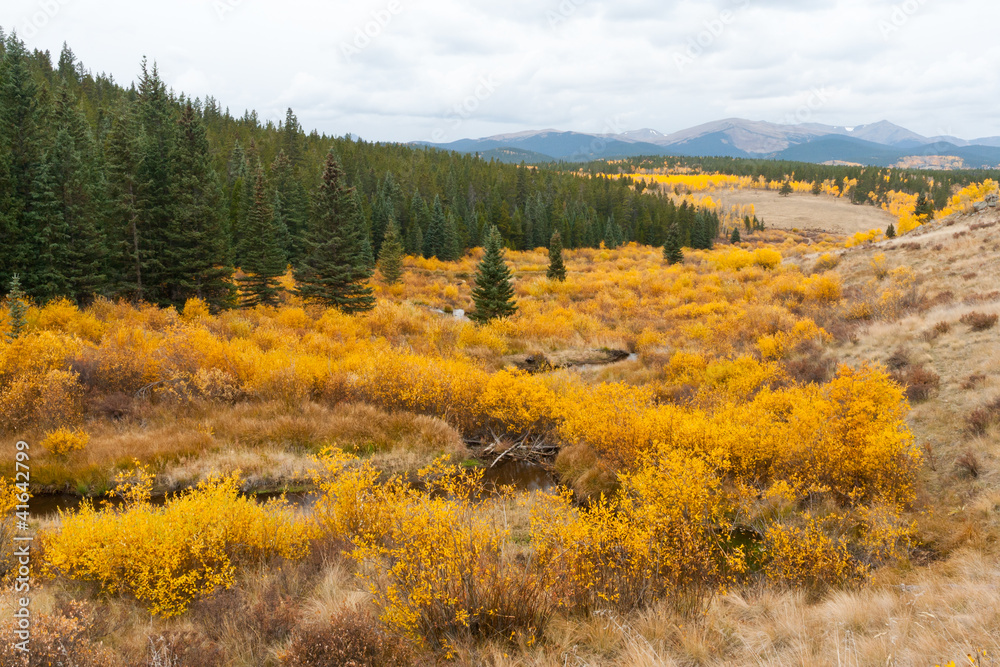 Fall Mountain Landscape in Colorado