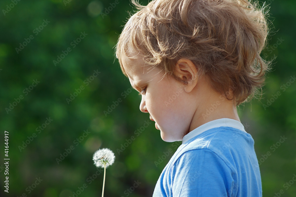 Little cute boy holding a dandelion outdoors Little cute boy holding a dandelion outdoors