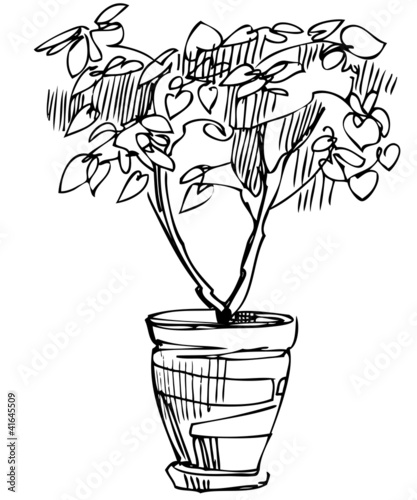 a sketch room plant flower in a pot