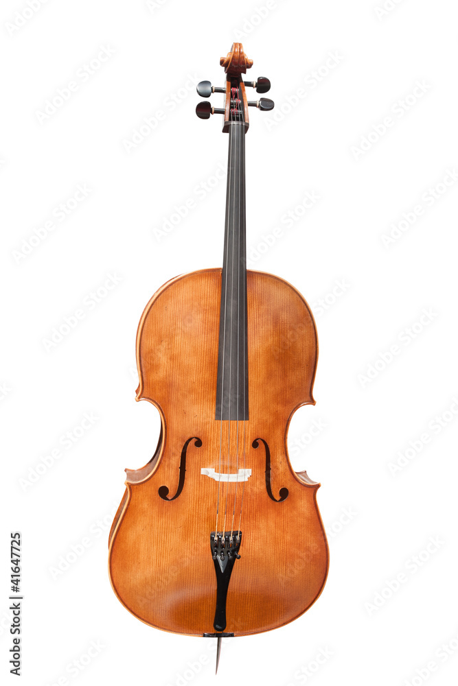 Fototapeta premium violins