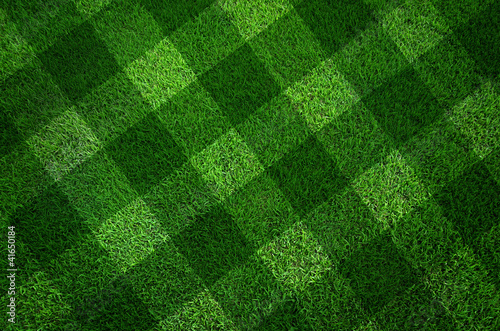 Green grass texture background And the line cut