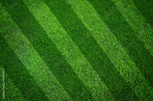 Green grass texture background And oblique lines