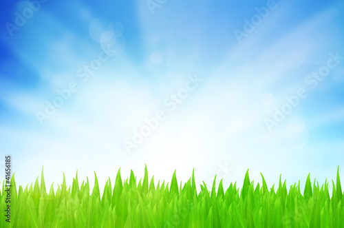 Spring nature background with grass and blue sky in the back