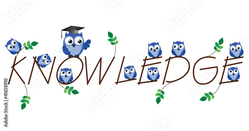 Knowledge twig text isolated on white background