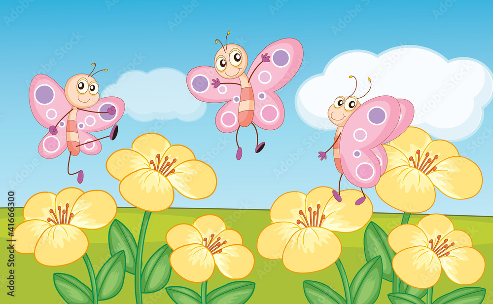 butterfly butterfly
