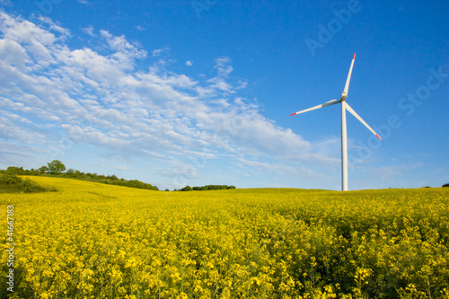 Windmill in rape field