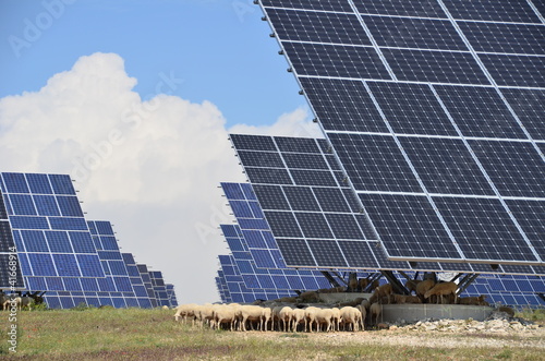 Solar power plant with grazing sheep