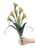 3d render of hand with cala lilly