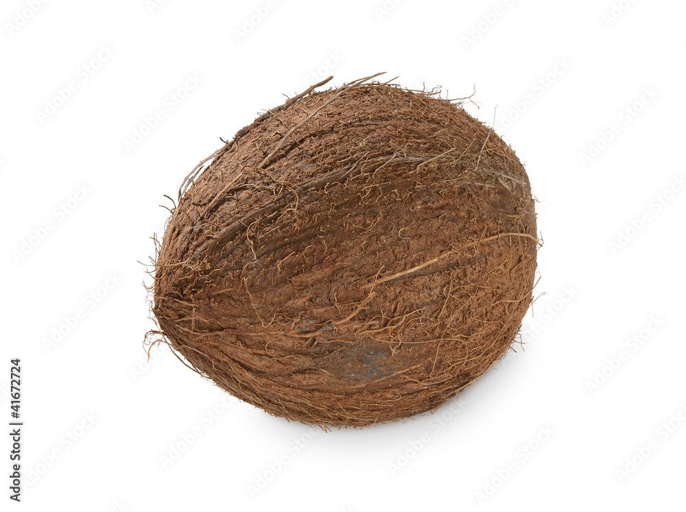 Coconut Coconut
