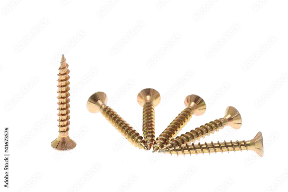 Screws isolated Screws isolated