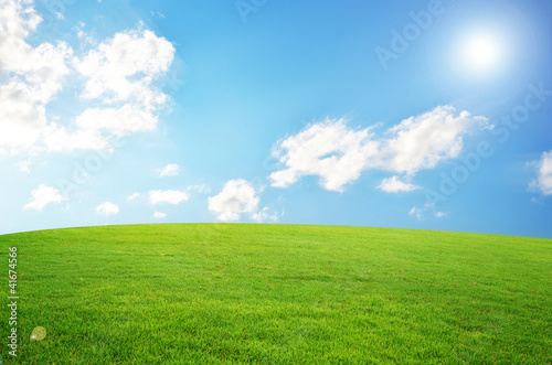 Green field and sky blue with white cloud © foxaon