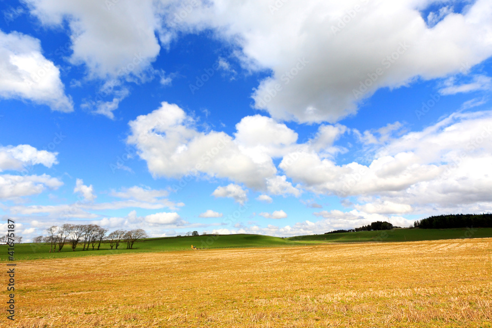 Beautiful Spring landscape in Scotland Beautiful Spring landscape in Scotland