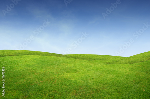 Green grass landscape