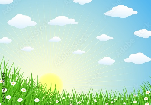 Landscape With Grass