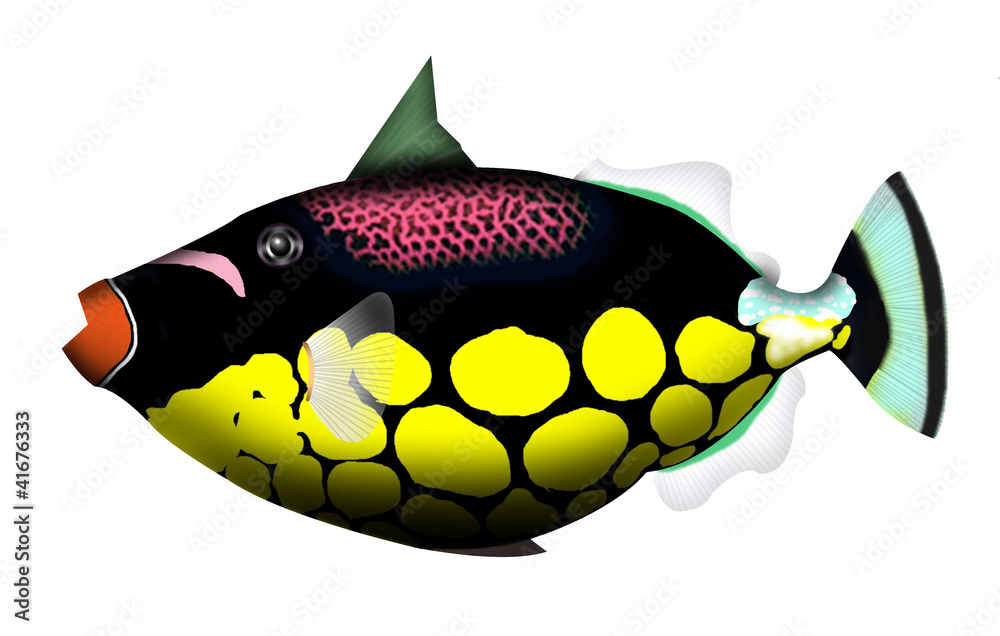 モンガラカワハギ2 Stock イラスト Adobe Stock モンガラカワハギ2 Stock イラスト Adobe Stock