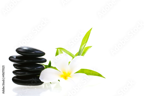 Balanced zen stones with  bamboo and white plumeria flower