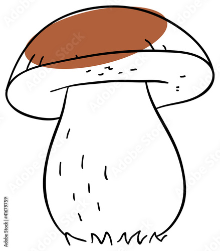 Vector boletus is isolated on a white background
