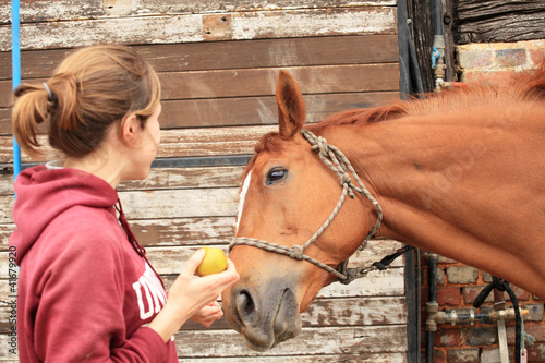 Beautiful women give an apple to her horse