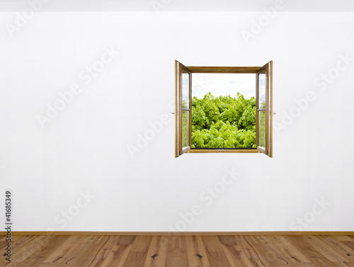 Geöffnetes Fenster