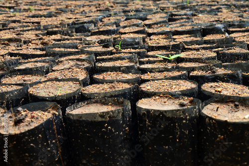 black flowerpot