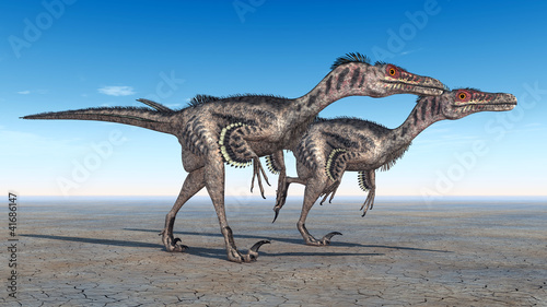 Velociraptoren