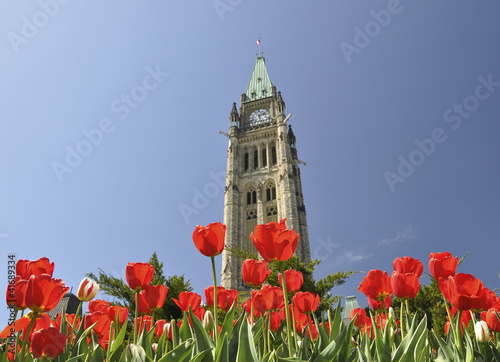 Tulip Festival in Ottawa