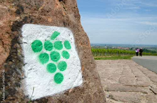 Weinstraße Pfalz Wanderweg Zeichen photo