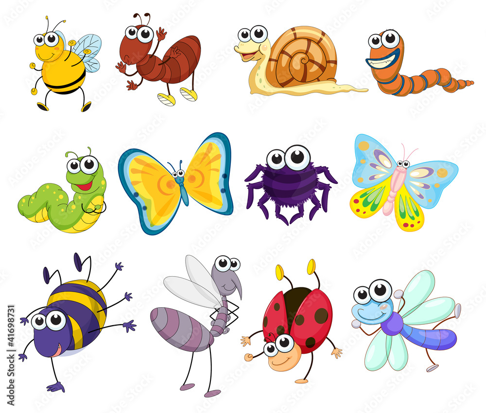 Fototapeta premium creatures