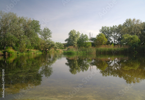 Fototapeta Naklejka Na Ścianę i Meble -  River and spring forest. Nature composition.