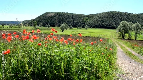 fimon valle paese provincia di vicenza veneto photo